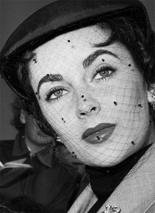 Picture of Elizabeth Taylor