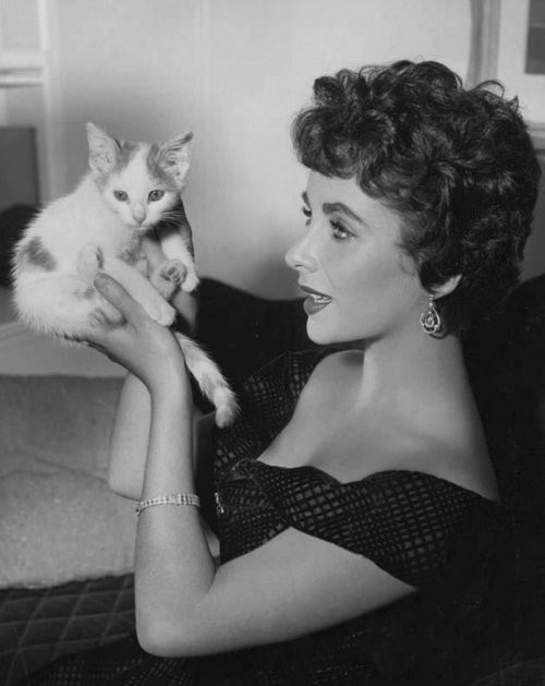 Elizabeth Taylor Elizabeth Taylor