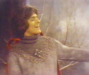 Sir Robin the Brave