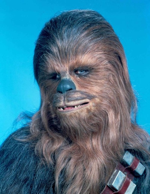 Chewbacca Chewbacca