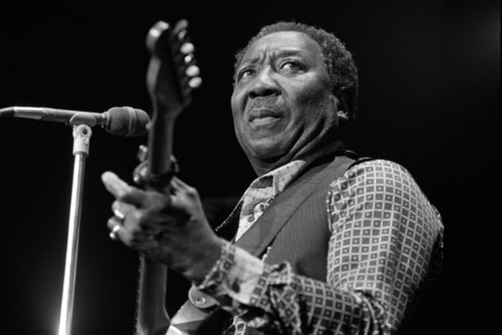 Image of Muddy Waters