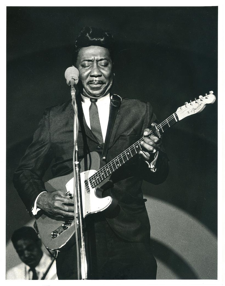 Muddy Waters Muddy Waters