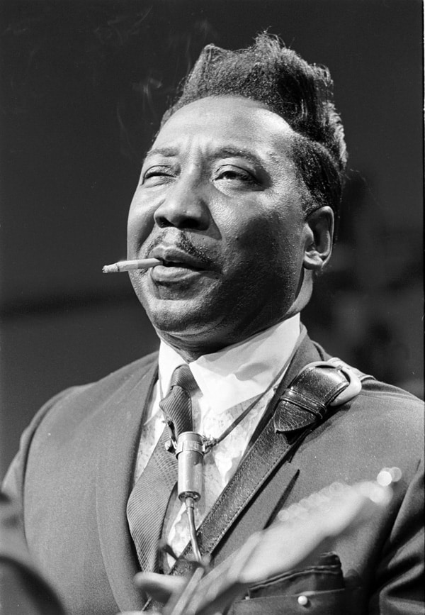 Muddy Waters