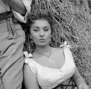 The Miller's Beautiful Wife