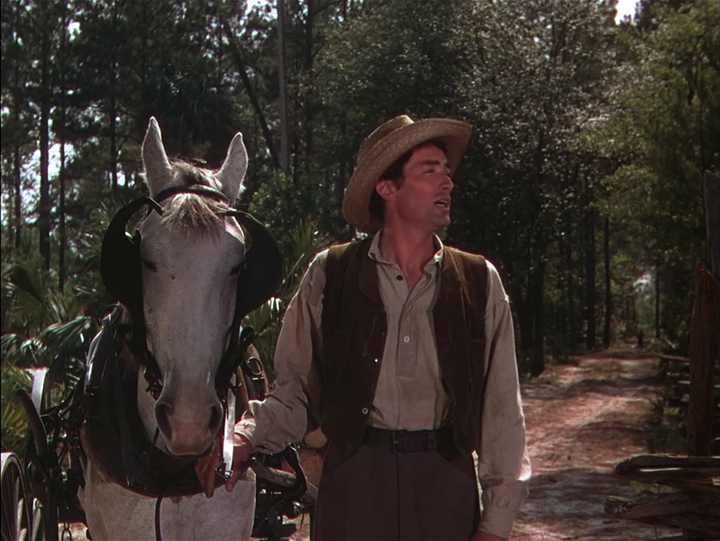 The Yearling The Yearling