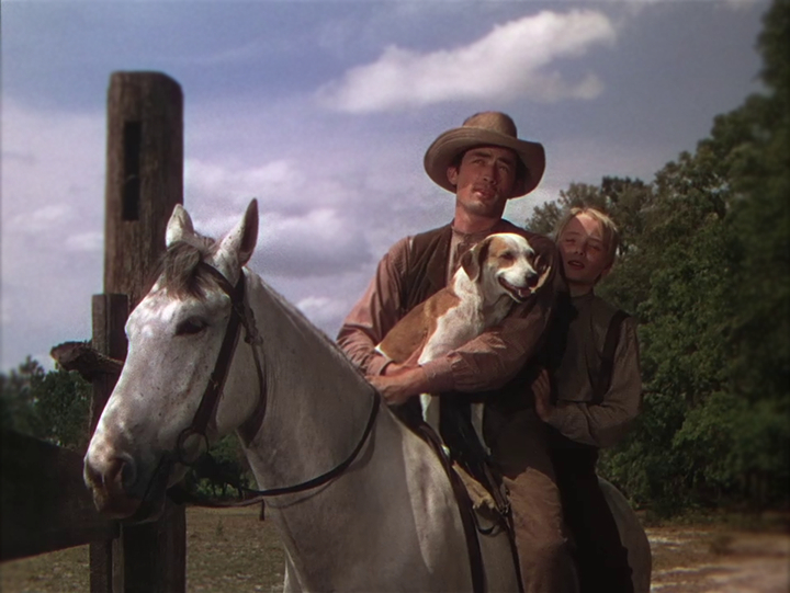 The Yearling