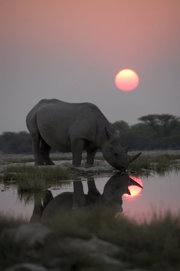 Unbekanntes Afrika