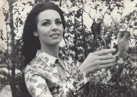 Michèle Mercier Michèle Mercier