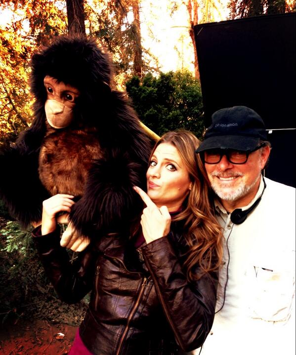 Stana Katic
