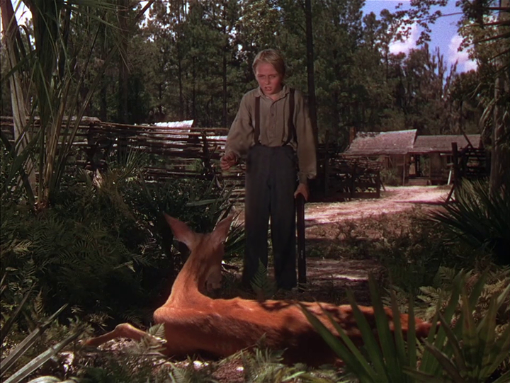 The Yearling