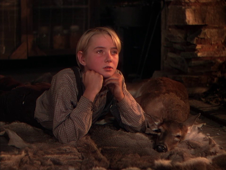 The Yearling The Yearling