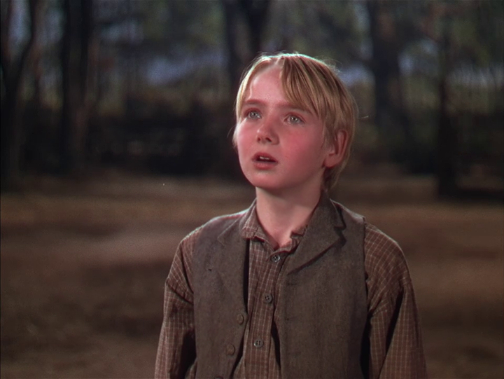 The Yearling The Yearling