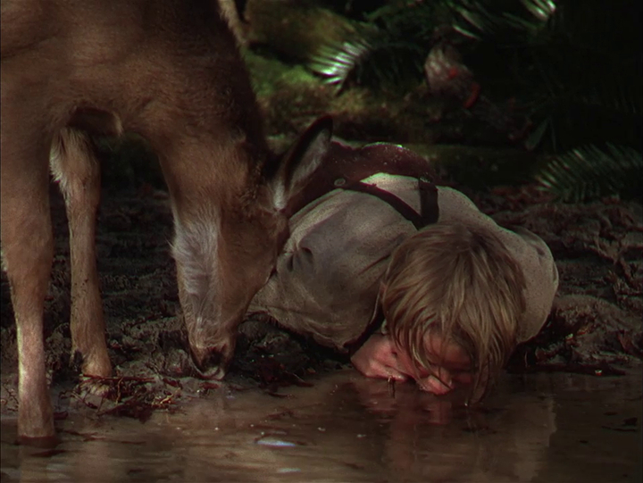 The Yearling The Yearling