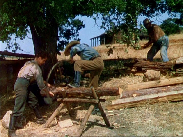 The Return of Frank James (1940)