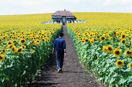 Everything Is Illuminated