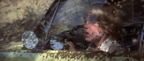 The Swarm