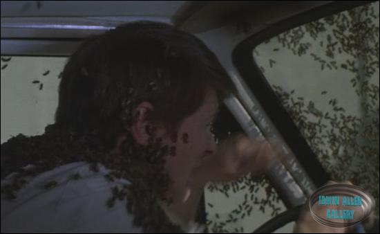 The Swarm