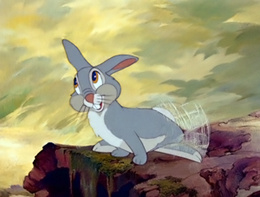 Thumper Thumper