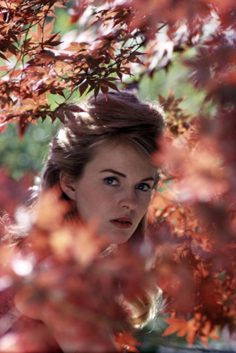 Jean Seberg Jean Seberg