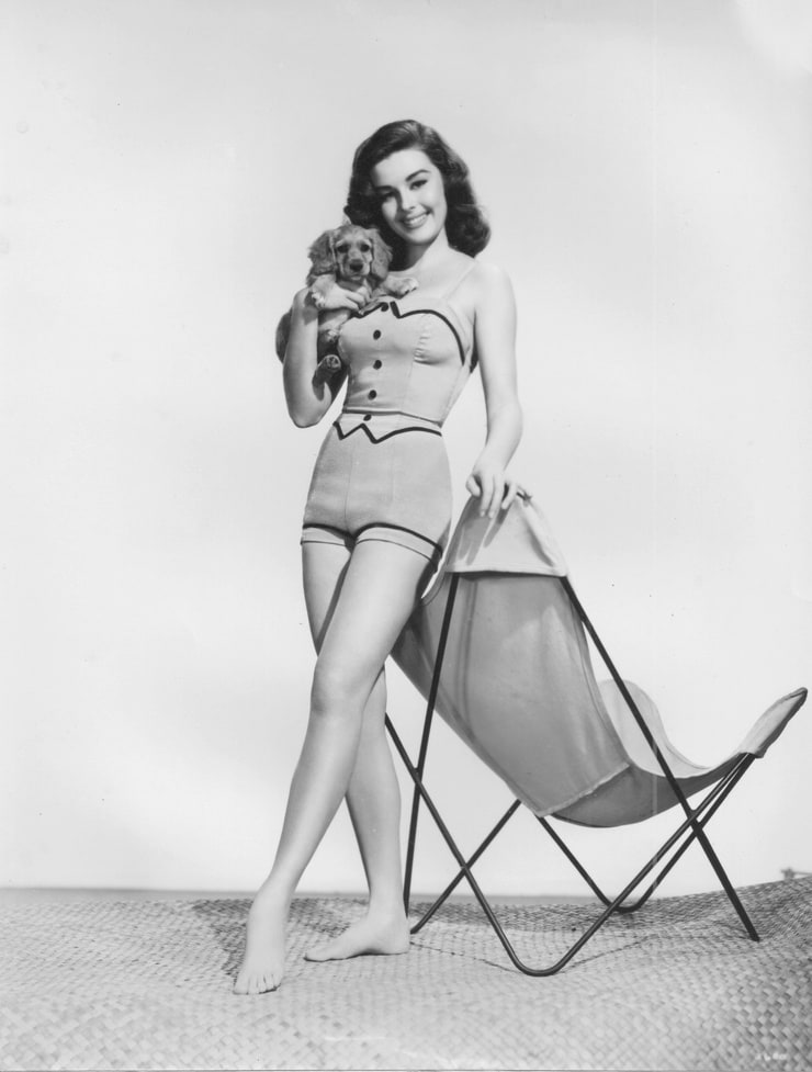 Elaine Stewart