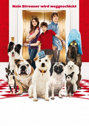 Hotel For Dogs