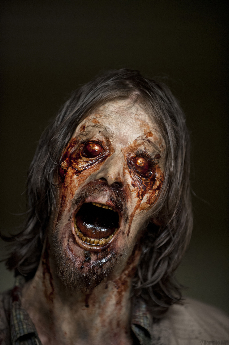The Walking Dead The Walking Dead