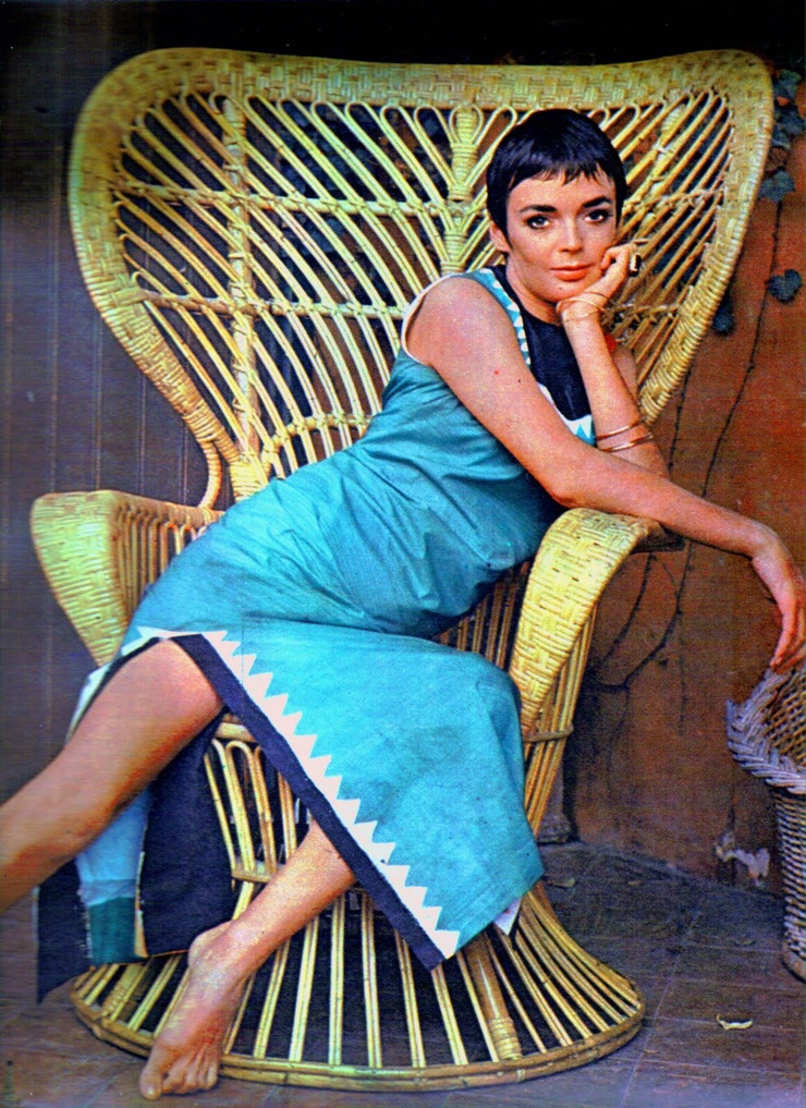 Barbara Steele Barbara Steele
