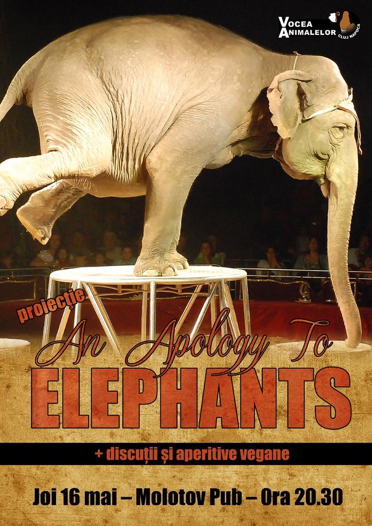 An Apology to Elephants