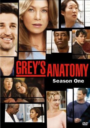 Greys anatomy season 1