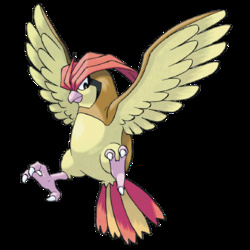 Pidgeotto