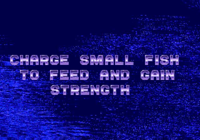 Ecco the Dolphin 