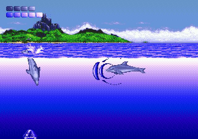 Ecco the Dolphin 
