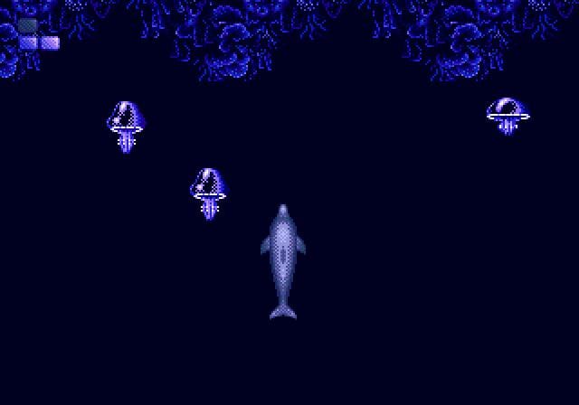 Ecco the Dolphin 