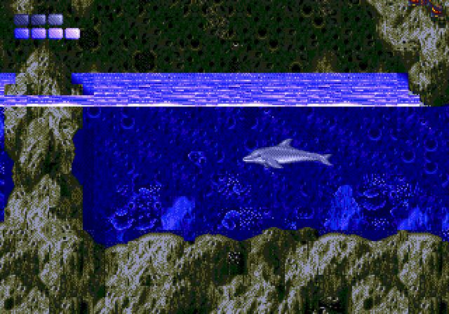 Ecco the Dolphin 