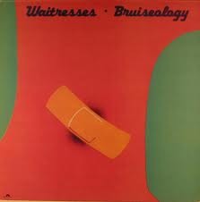 Bruiseology