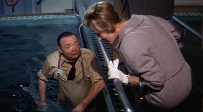 Voyage to the Bottom of the Sea Voyage to the Bottom of the Sea