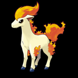 Ponyta