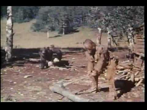 The Life and Times of Grizzly Adams (1974)