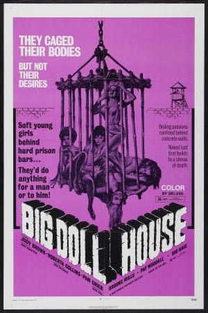 The Big Doll House