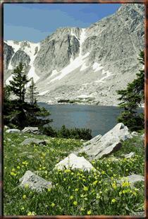 Medicine Bow National Forest