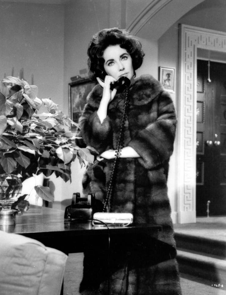 Elizabeth Taylor Elizabeth Taylor