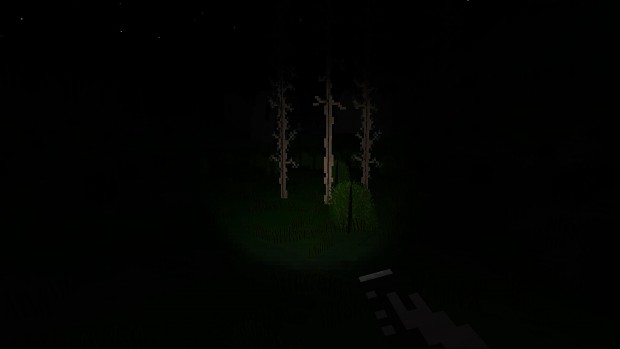 Lights & Shadows