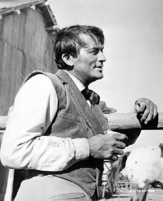 The Big Country (1958)