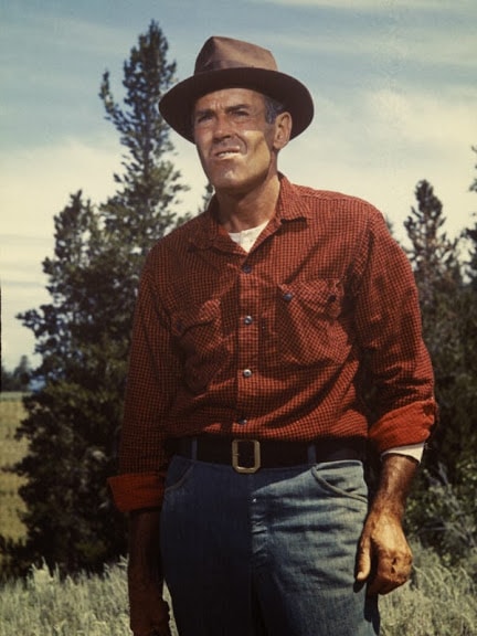 Spencer's Mountain (1963)