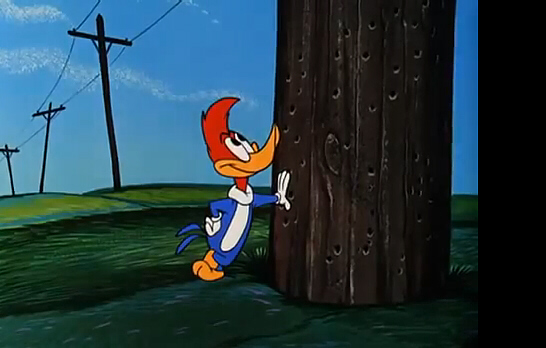 The Woody Woodpecker Show