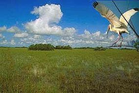 Everglades National Park