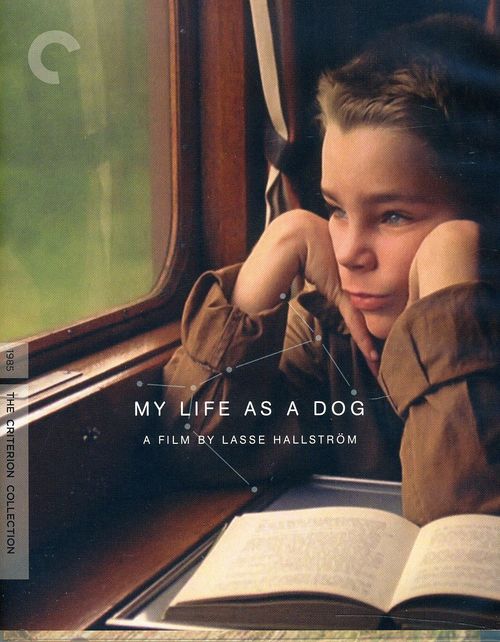 My Life as a Dog (1985)