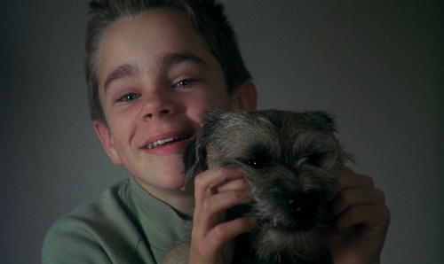 My Life as a Dog (1985)