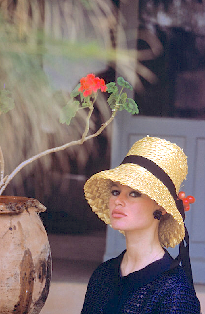 Brigitte Bardot