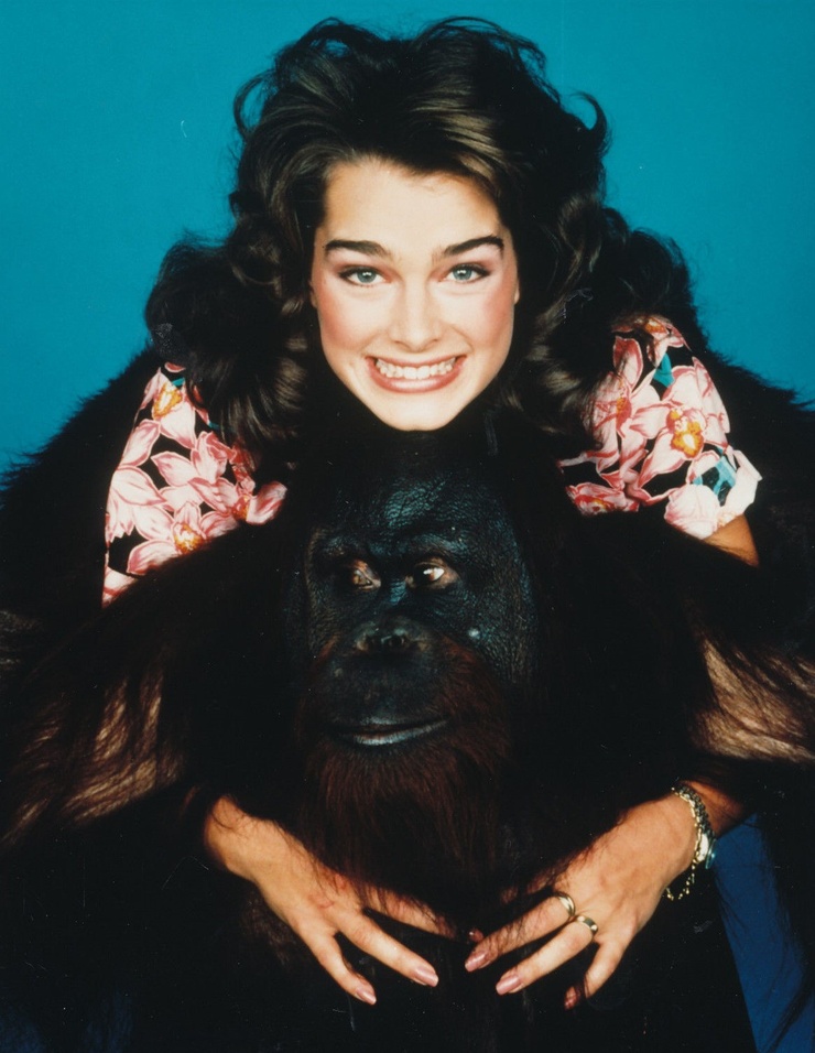 Brooke Shields Brooke Shields